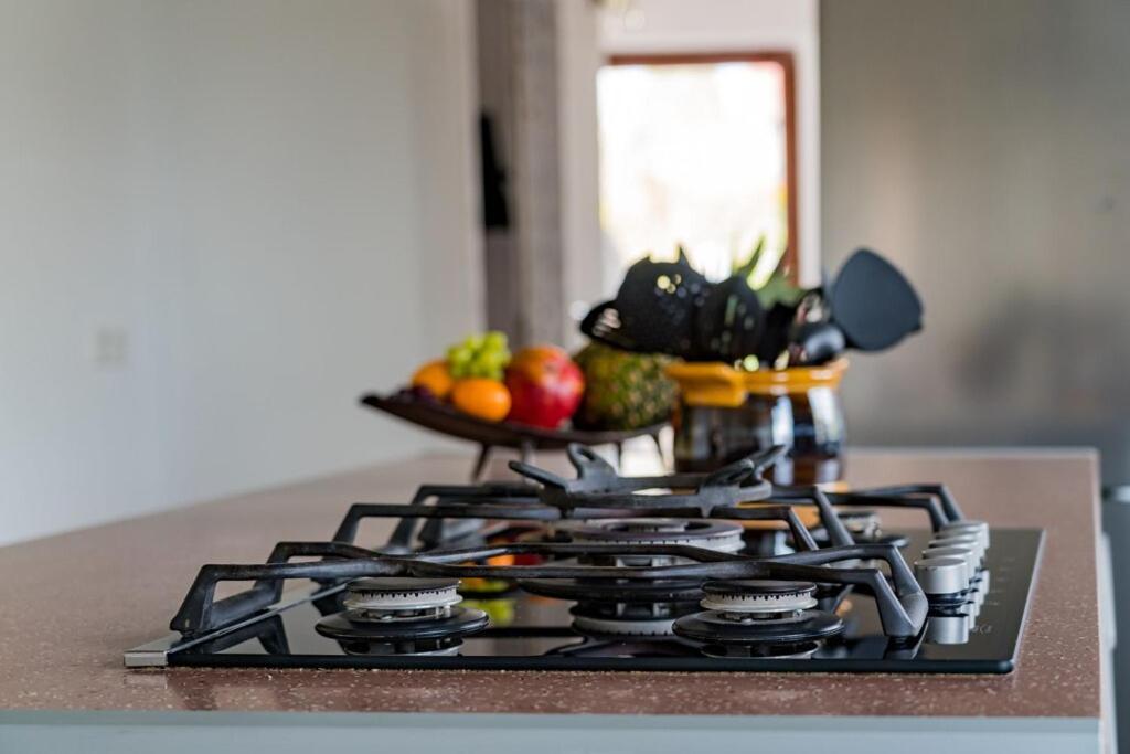 Ferienwohnung Finke 2 FDH 외부 사진