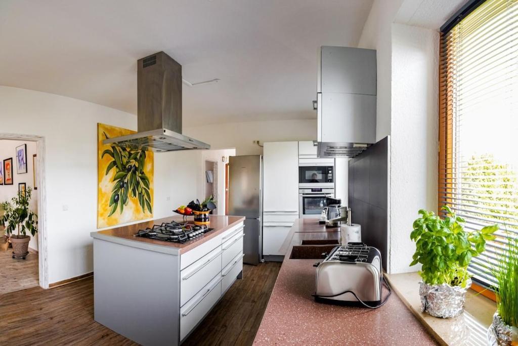 Ferienwohnung Finke 2 FDH 외부 사진